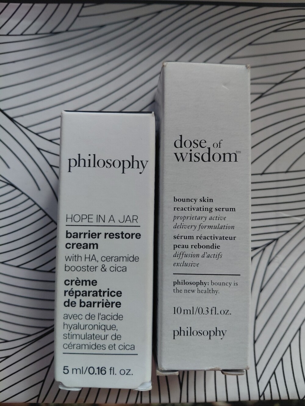 Philosophy Travel Duo